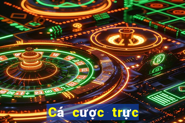 Cá cược trực tuyến BetAndYou