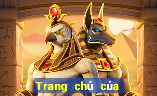 Trang chủ của Color 903