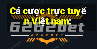 Cá cược trực tuyến Việt nam: