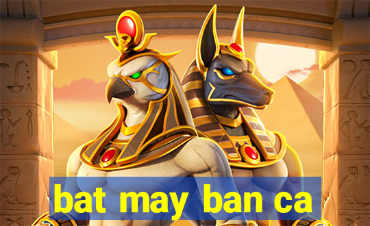 bat may ban ca