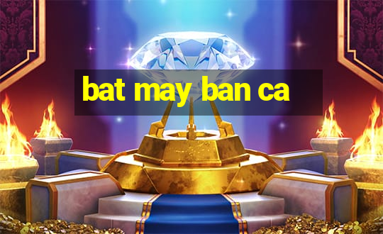 bat may ban ca