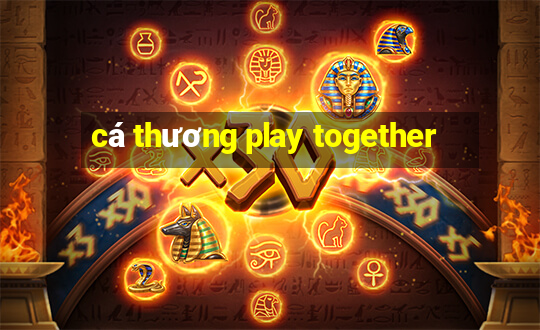 cá thương play together