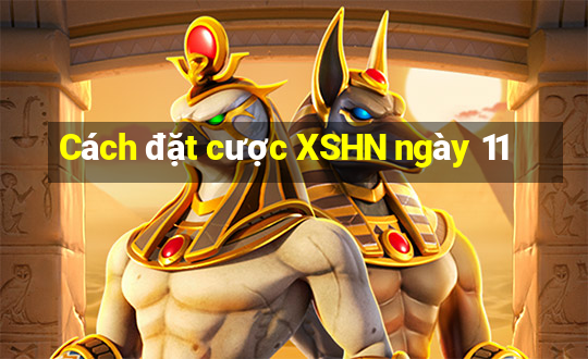 Cách đặt cược XSHN ngày 11