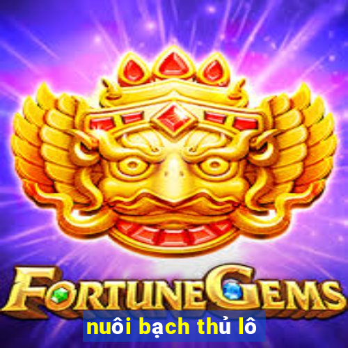 nuôi bạch thủ lô