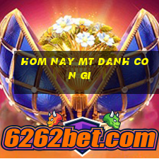 hom nay mt danh con gi