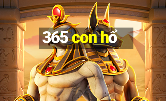 365 con hổ