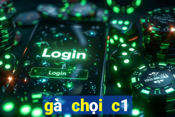 gà chọi c1 mới nhất