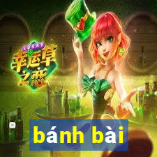 bánh bài