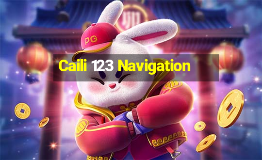 Caili 123 Navigation