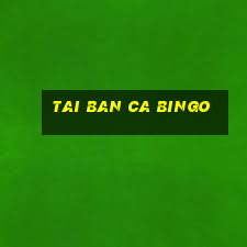 tai ban ca bingo