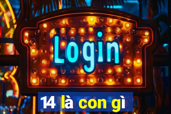 14 là con gì