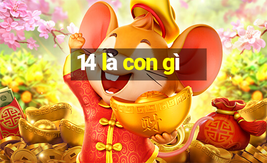 14 là con gì