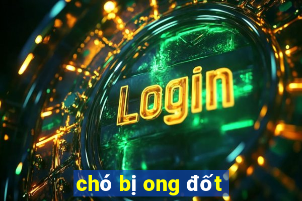 chó bị ong đốt