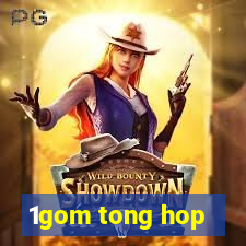 1gom tong hop