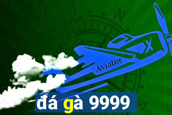 đá gà 9999