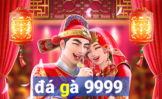 đá gà 9999