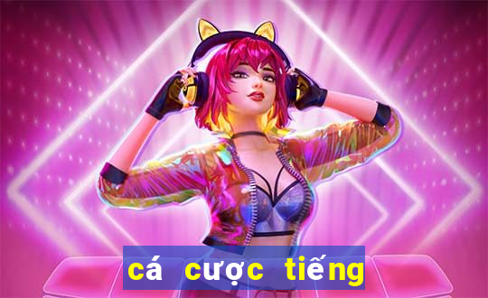 cá cược tiếng trung là gì