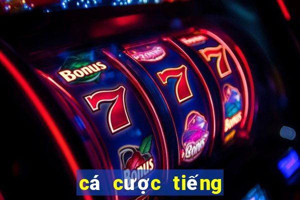 cá cược tiếng trung là gì