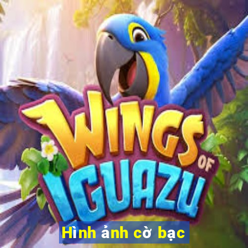 Hình ảnh cờ bạc