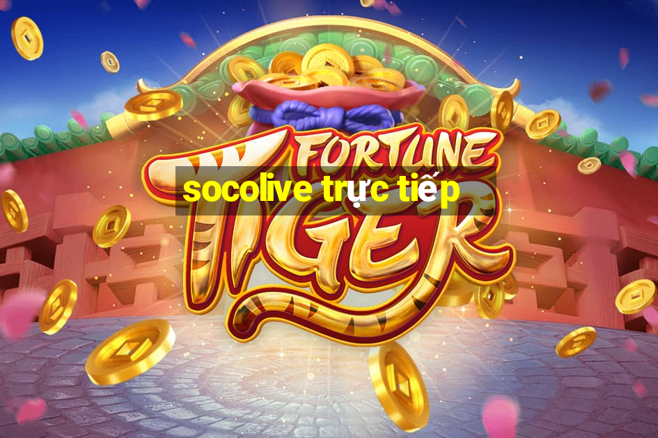 socolive trực tiếp