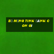 bị mộng tinh đánh con gì