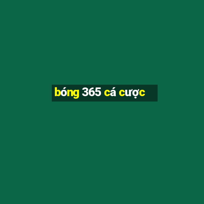 bóng 365 cá cược