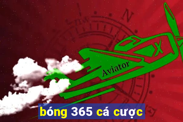 bóng 365 cá cược