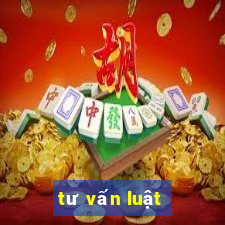 tư vấn luật