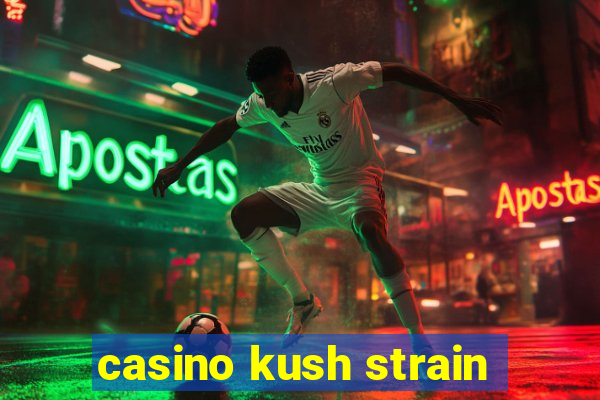 casino kush strain