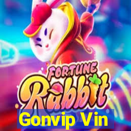 Gonvip Vin