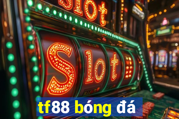 tf88 bóng đá