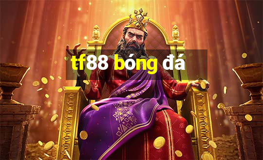 tf88 bóng đá