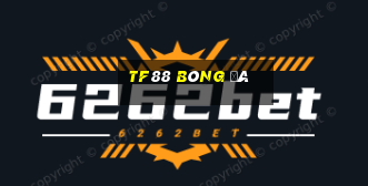 tf88 bóng đá