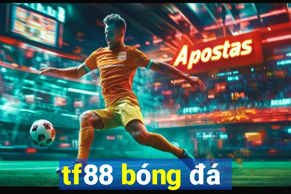 tf88 bóng đá