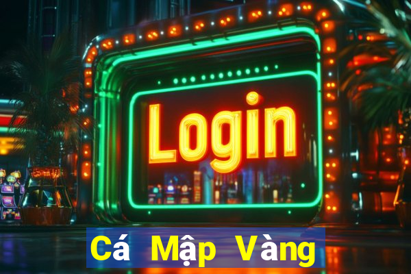 Cá Mập Vàng Cá Mập Bạc Fun88 Tải về