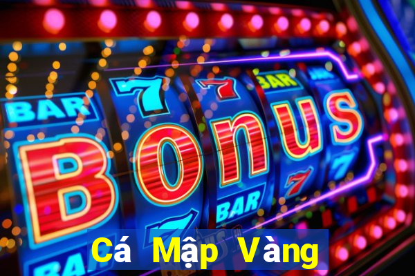 Cá Mập Vàng Cá Mập Bạc Fun88 Tải về