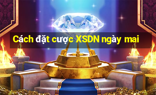 Cách đặt cược XSDN ngày mai