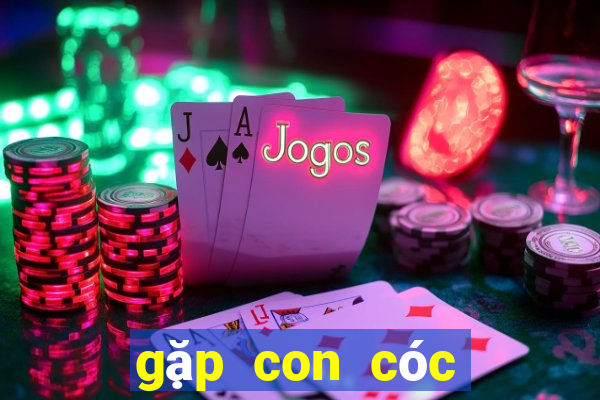 gặp con cóc đánh số mấy