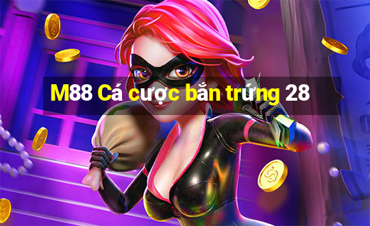 M88 Cá cược bắn trứng 28