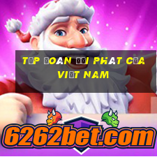 Tập đoàn đại phát của Việt nam