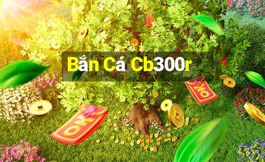 Bắn Cá Cb300r