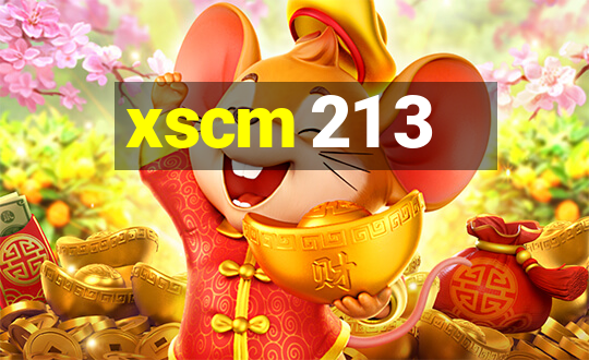 xscm 21 3