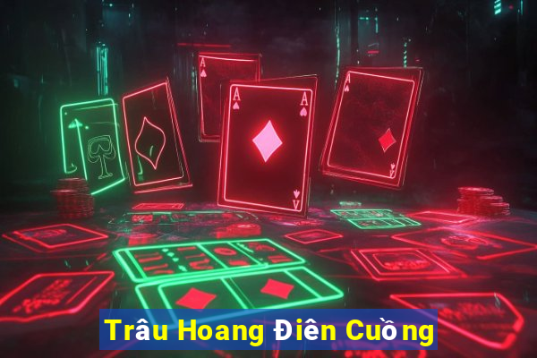 Trâu Hoang Điên Cuồng