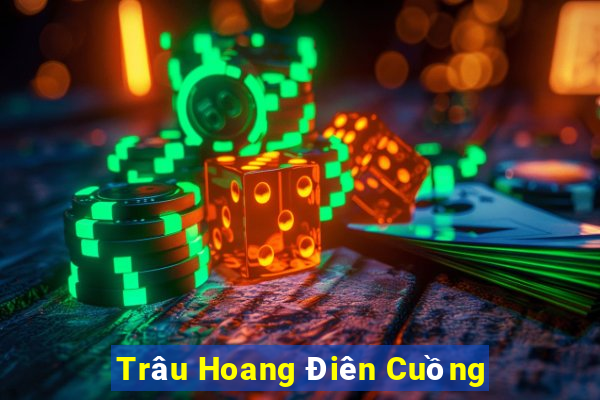 Trâu Hoang Điên Cuồng