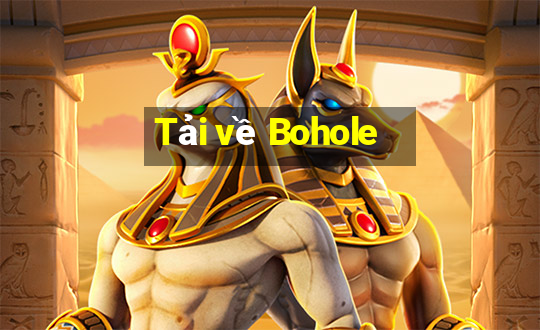 Tải về Bohole