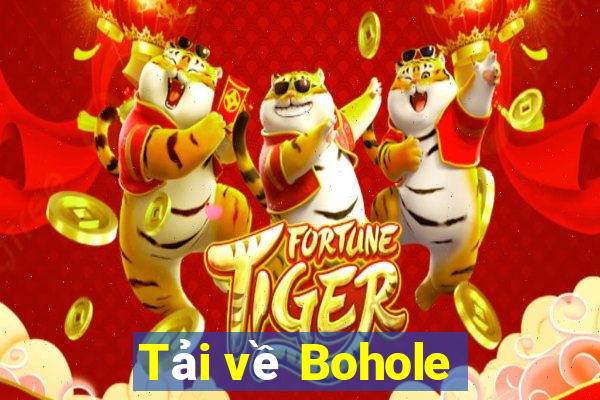 Tải về Bohole