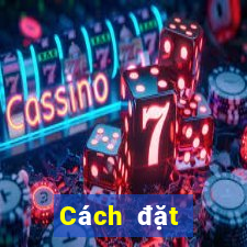 Cách đặt cược XSDTMB ngày 24