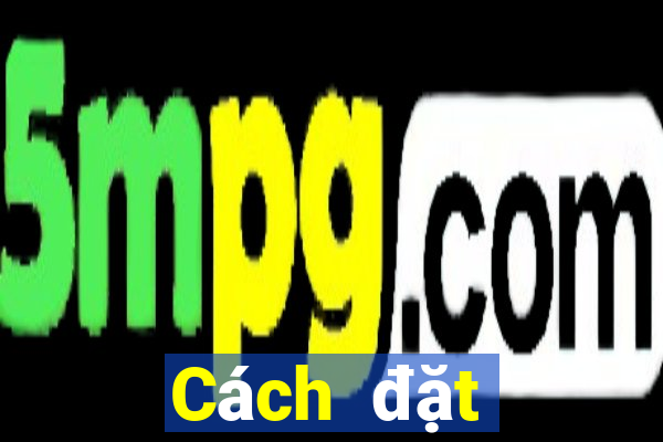 Cách đặt cược XSDTMB ngày 24