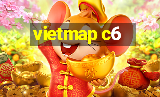 vietmap c6