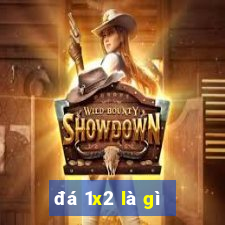 đá 1x2 là gì